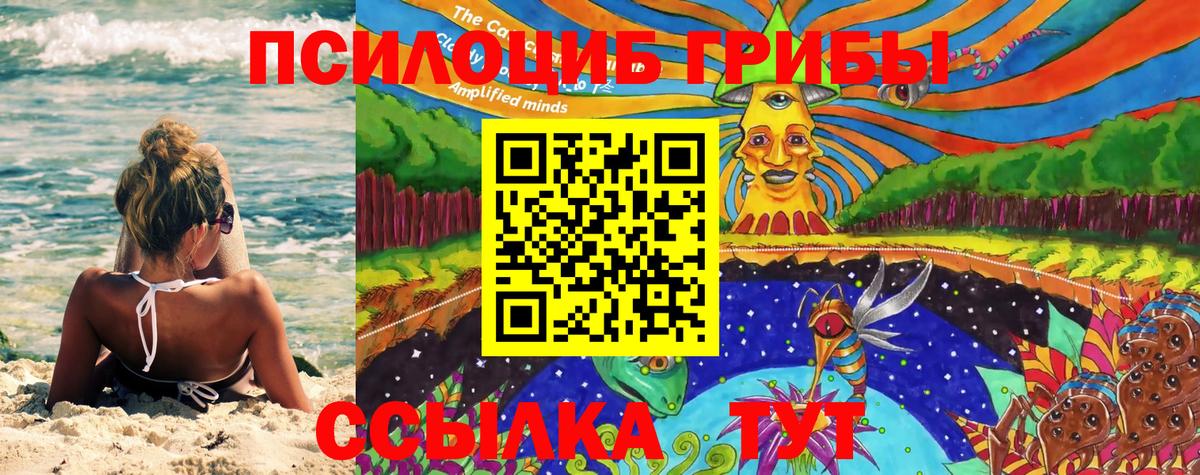 NBOMe Брянск