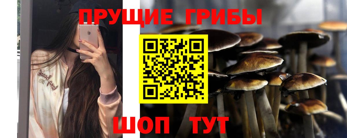 Брянск  Псилоцибиновые грибы мухоморы  Вход с VPN  Галлюциногенные грибы Magic Shrooms 